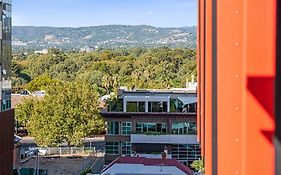The Zen Apartments With Urban Soul